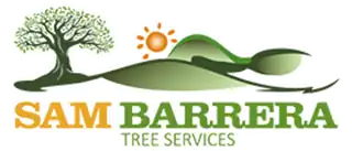 Sam Barrera Tree Services 